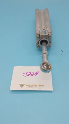 USED FESTO DNC-32-50-P-A-30K8-S11