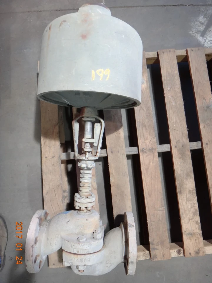 Annin 4", Class 300, 556 Control Valve