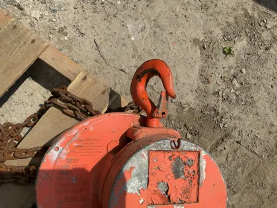 Used COLUMBUS MCKINNON CM Hoists (All Types) Michigan US | Miedema Asset Management Group #1324047