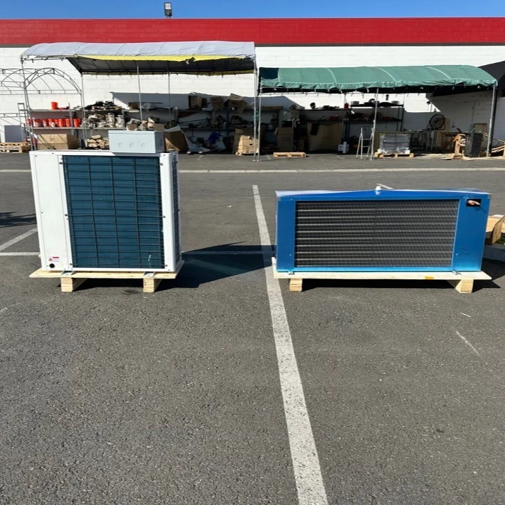 171-0396 4HP Walk In Freezer Condensing Cooler System