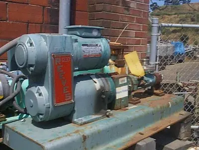Pump, Moyno, 1/2 HP, S/st, Frame 3M1, Type SSQ, #S618905