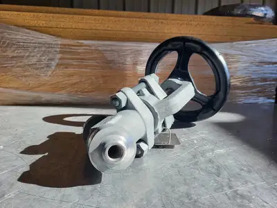 3/4" Class 900 Y-Pattern Check Valve B16.34