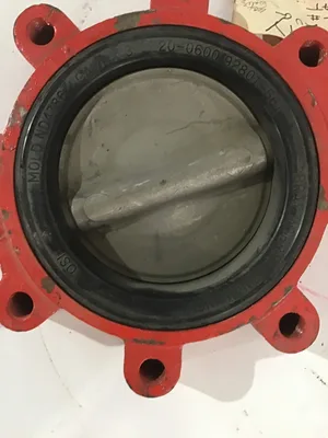 Bray ND4786/20-0600 92801-561 Lug Butterfly Valve 6″