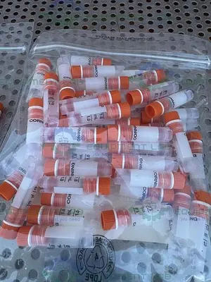 USED PACK OF 100 - CORNING 431386 CRYOGENIC VIALS, INTERNAL THREAD 2 ML