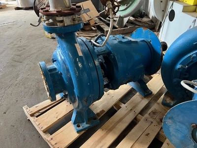 USED Goulds 3175S