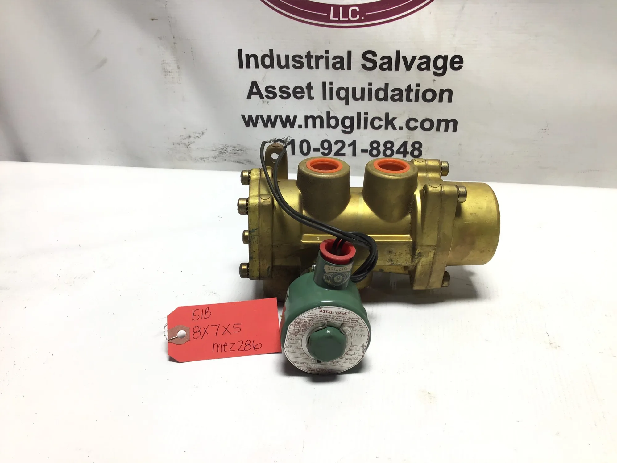 ASCA Red Hat Valve Enclosure 110/120V 50/60 Hz
