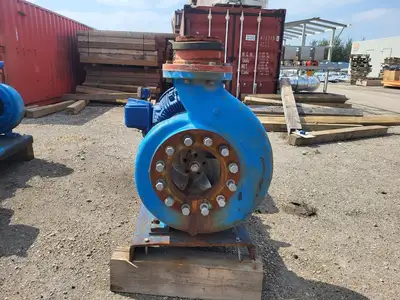 USED GOULDS 3196