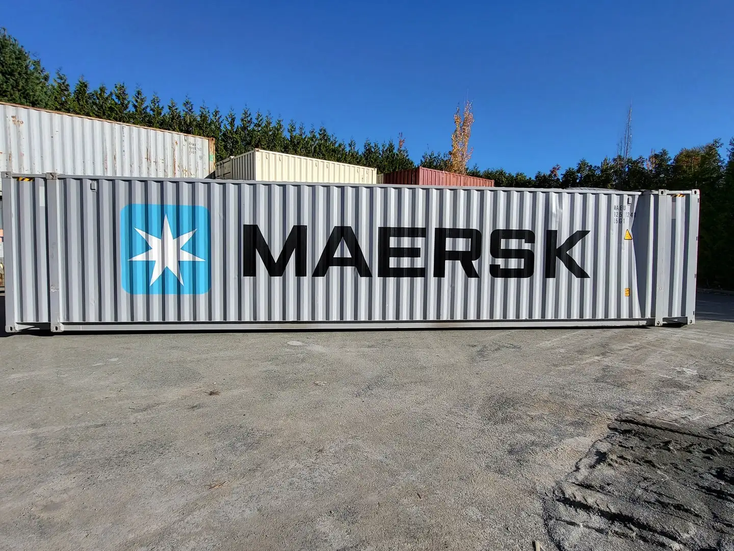 45 ft Standard Shipping Container - MAEU9252248 (Damaged)