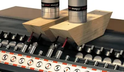 NEW MAGGI SYSTEM 35