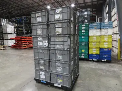 ORBIS Stakpak GRAY Stackable  Plastic Tote Container Bin 24x22x14" Lot of 24