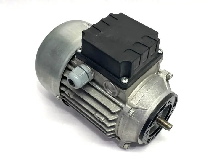 Used Coel AC Electric Motor 3-Phase 50/60Hz 201112 A.C. Motors Michigan US | Maverick Industrial Sales #1393400