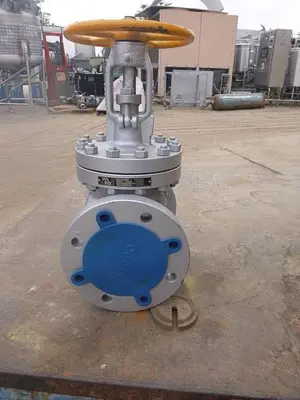 USED 2019 STEM & YOKE CLASS 300