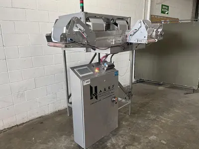 Haley Manufacturing Diverting Conveyor