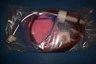 NEW Freelin-Wade ACO 3/8' O.D. X .250"