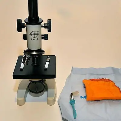 Student Compound Microscope RM-2B