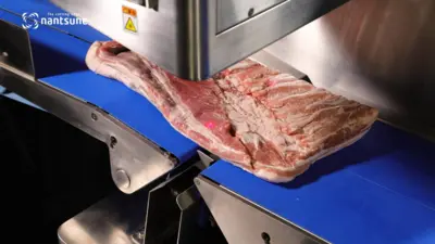 Nantsune Model NTDPD-340 Zeus Dual 3D Pack Fixed Weight Meat Slicer