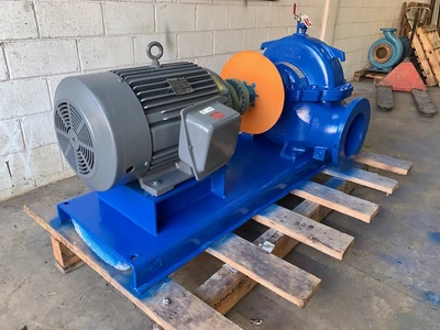 USED Goulds 100