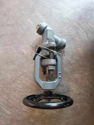 1/2" Class 900 Y-Pattern Check Valve B16.34