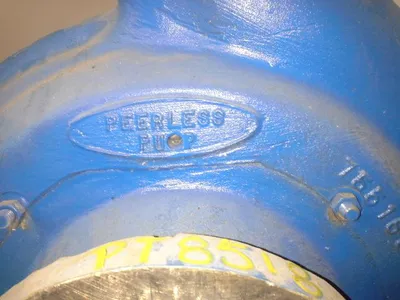USED Goulds 3175
