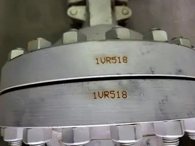 10" Class 300 Gate Valve API 600