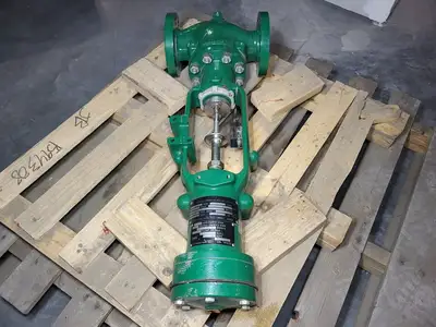 2" Class 300 Globe Valve w/ Actuator Type 655