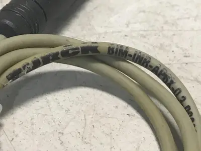 Used TURCK ELEKTRONIK BIM-INR-AP6-0.3-PSG3S Relays & Switches Michigan US | Ideal Machinery #1318681