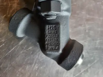 1/2" Class 900 Y-Pattern Check Valve B16.34