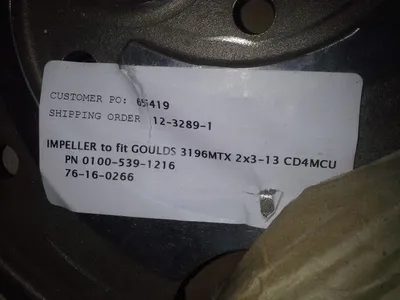 USED Goulds 3196