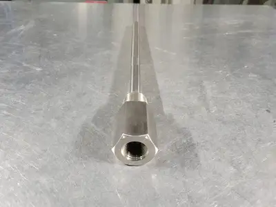 Plug/Stem Assembly F118M