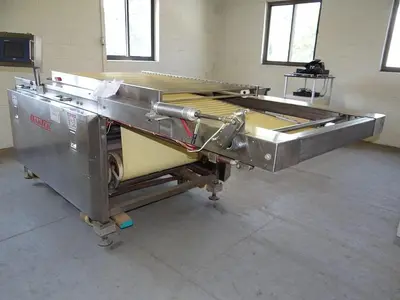 Baktek Reciprocating Transfer Conveyor