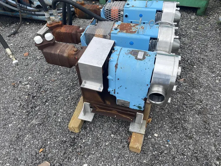 Used TRI-CLOVER PR300-6F-TC1-4-ST-S. Rotary Pumps North Carolina US | DH Griffin Used Equipment #1383748
