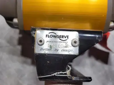 USED FLOWSERVE 10L-39-N-R6