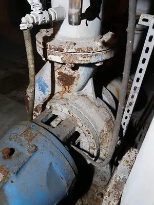 USED GOULDS 3175S