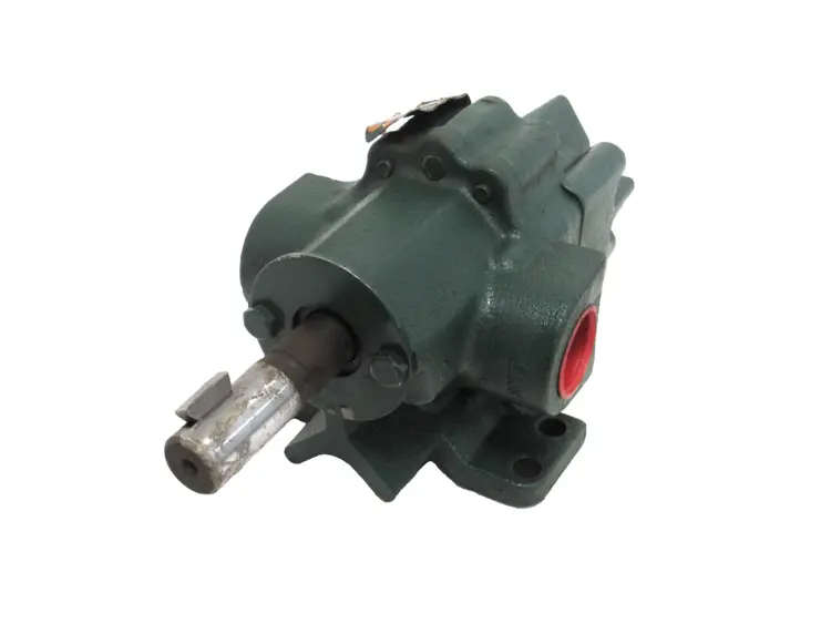 Used ROPER _UNKNOWN_ Rotary Pumps Michigan US | SB Industrial Supply #1011369