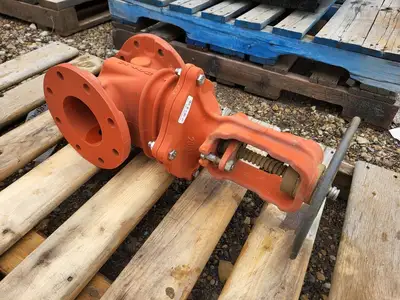 4" Gate Valve R2365, 250 PSI