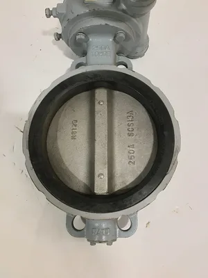 Tomoe K6129/250A/SCS13A 10″ Semi Lugged Butterfly Valve