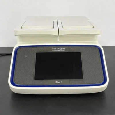 Used INVITROGEN IBLOT 3 Electrophoresis New Jersey US | Bionex Scientific LLC #800428