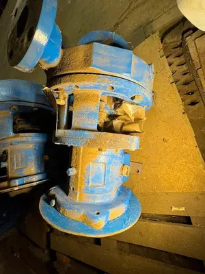 USED GOULDS 3196