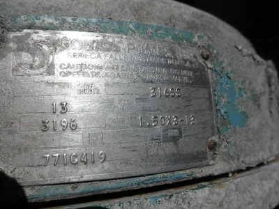 USED GOULDS 3196