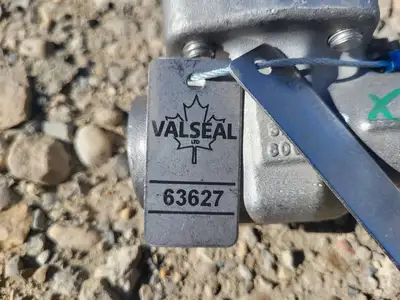 NEW LADISH 5850
