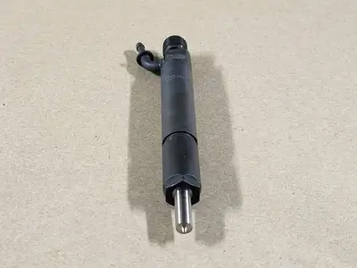 Fuel Injector 0432191379 (Bag of 2)