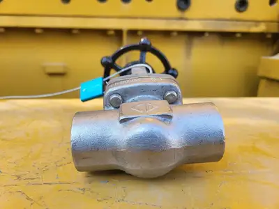 3/4" Class 800 Gate Valve API 602