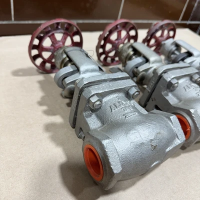 NEW Aloyco CF3M