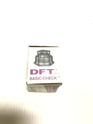 DFT 8001 Stainless Steel Check Valve 1/4″BSS 1/4″NPT Inlet 2500 CWP 1720/450 °F