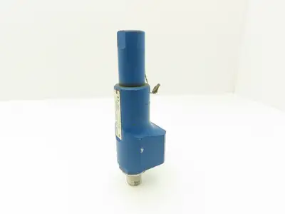 Leser LLC 4373.2602 Safety Relief Valve 30PSI Setpoint 1/2" NPT X 1" NPT