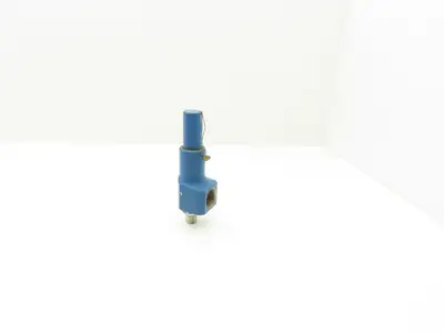 Leser LLC 4373.2602 Safety Relief Valve 30PSI Setpoint 1/2" NPT X 1" NPT