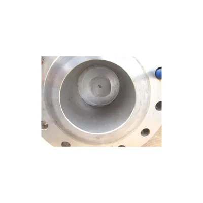 Oic Newman 6" Gate Valve - Stainless Steel Figure Number S301-g
