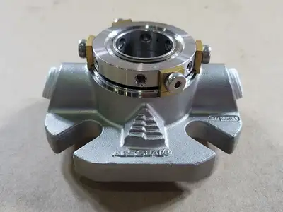 NEW AESSEAL 1AMZB09A01P