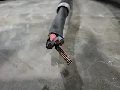 Teck Cable TECK90 3 AWG 3 Conductor 1000V w/ Ground