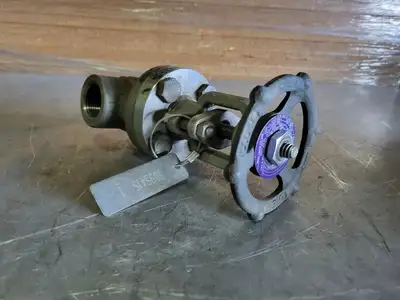 1" Class 800 Gate Valve B16.34
